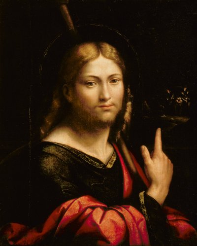 St. Jakobus der Ältere von Benvenuto Tisi da Garofalo